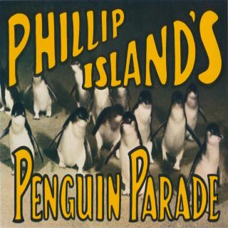 Phillip Island's Penguin Parade