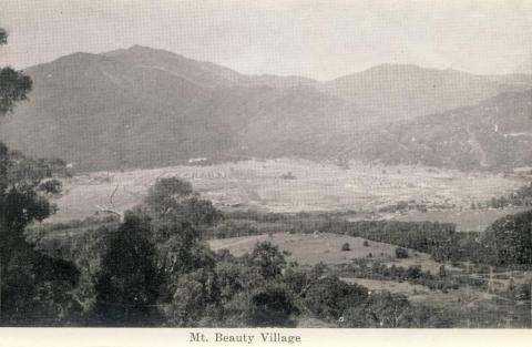 Mount Beauty Village