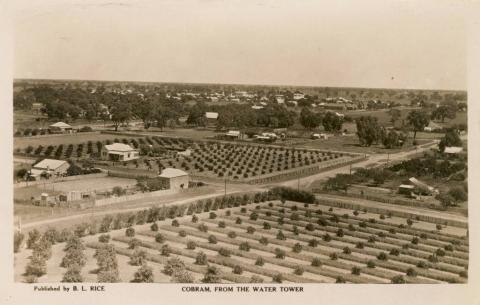 Cobram, from the water tower