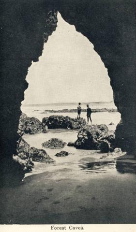 Forest Caves, Cowes