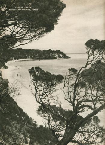 Bayside charm, Portsea on Port Phillip Bay, 1954