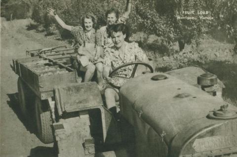 Fruit pickers, Merrigum, 1954