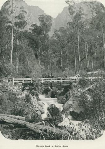 Eurobin Creek in Buffalo Gorge, 1918