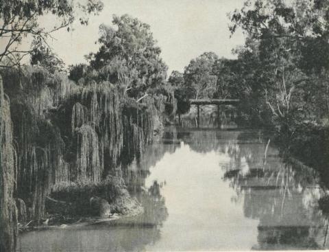 Looking towards the stock bridge over the Ovens River, Ovens Valley, 1960