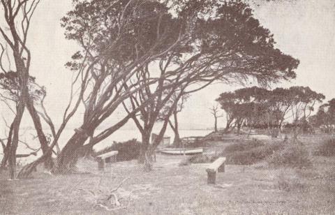 Dromana, 1929