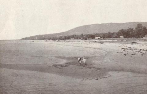 Beach at Rosebud, 1929