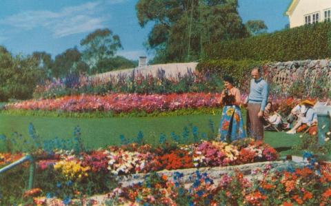The Chalet Garden, Mount Buffalo, c1960