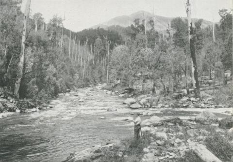 Junction of Rocky and Pretty Valley Rivers at Bogong Village, c1960