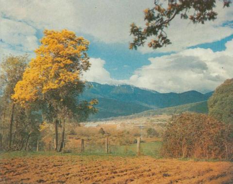 Mount Beauty township with Mount Bogong beyond