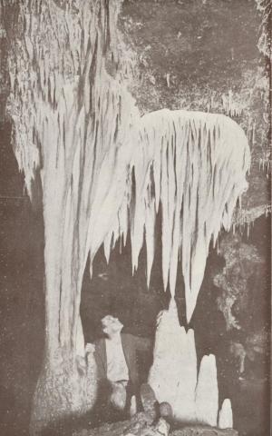 Giant White Stalactites and Stalagmites in the Fairy Cave, Buchan, 1934