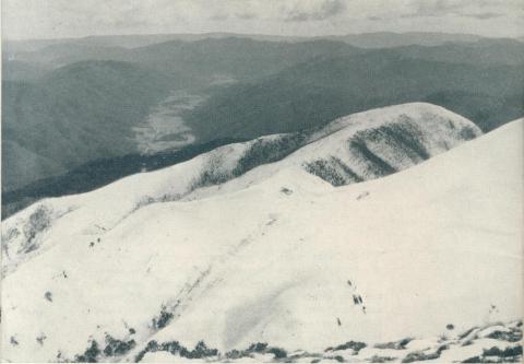 Mount Feathertop, 1951