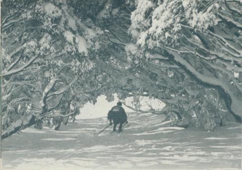 Skiing in the Alps, 1951