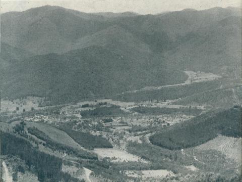 Bright township, from Mount Buffalo, 1951