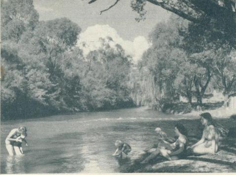 The river swimming pool, Bright, 1951