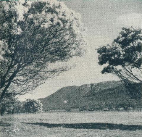 Mount Buffalo National Park, 1951