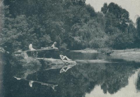Nug Nug Creek swimming hole, Myrtleford, 1951