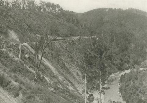 Train entering the Thomson Valley, Walhalla, c1910