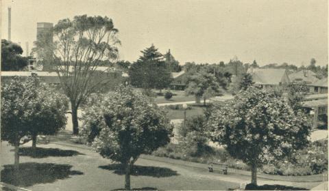 Looking towards Green Street from Broadway, Yallourn, 1961