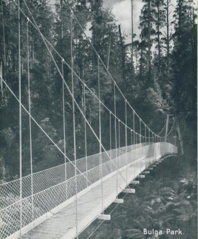Suspension Bridge, Bulga Park, Yarram, 1947