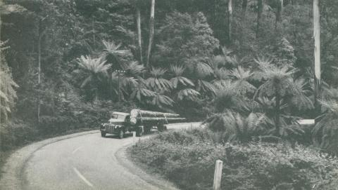 Timber Transport, Dandenongs, c1952