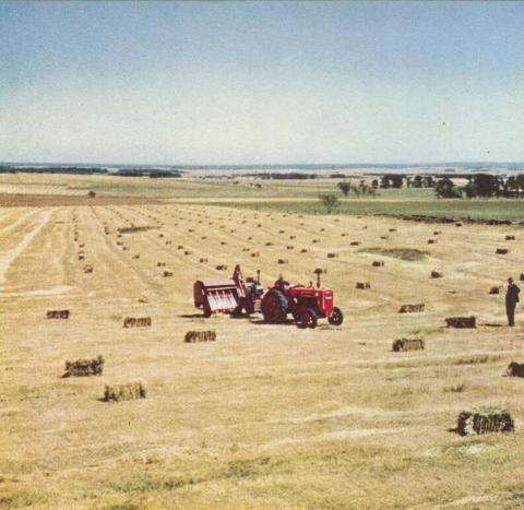Hay-bailing, Mount Moriac, 1958