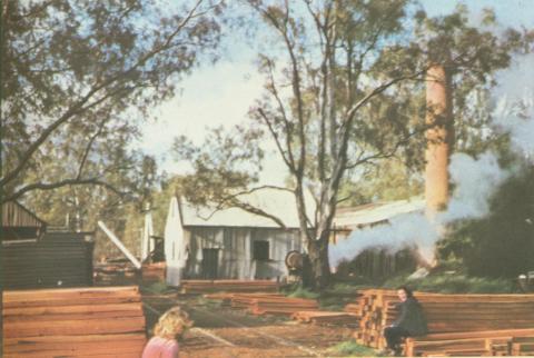 Timber Mill, Koondrook, 1960