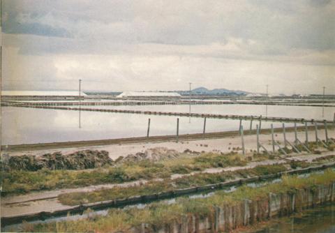 Salt pans near Geelong, 1970