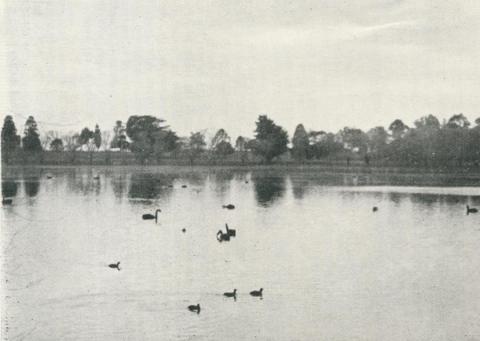 Lake Guthridge, Sale, 1938