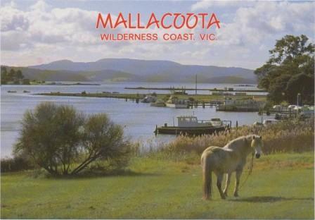 Looking north beyond tranquil Coull's Inlet to Mallacoota Inlet