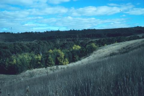 Avondale Heights, 1997