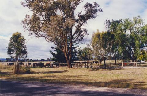 Tarrawingee near St Stephens Church, 2000