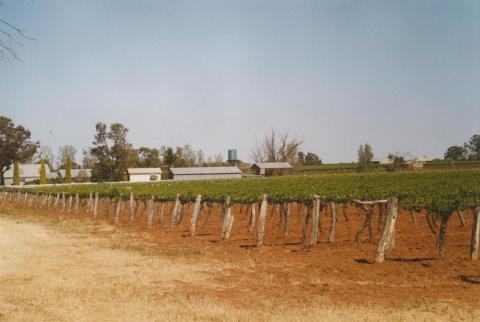 Vinifera, 2007