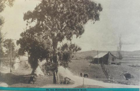 On the Bairnsdale-Lindenow Road, 1943