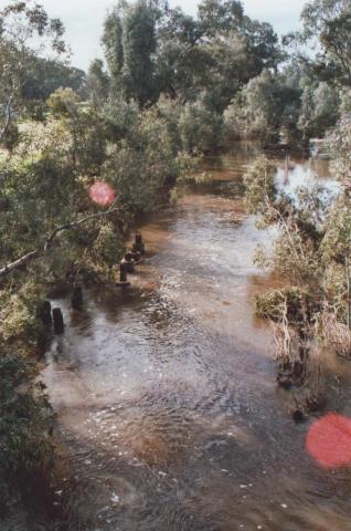 Loddon River, Newstead, 2010