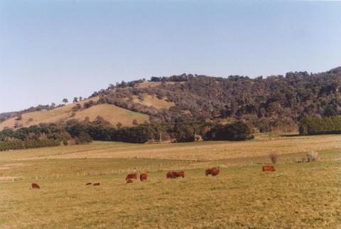 Yarra Glen, 2011