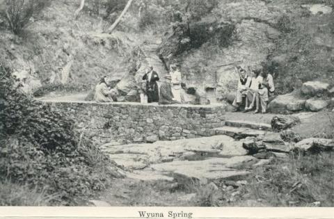 Wyuna Spring, Hepburn Springs