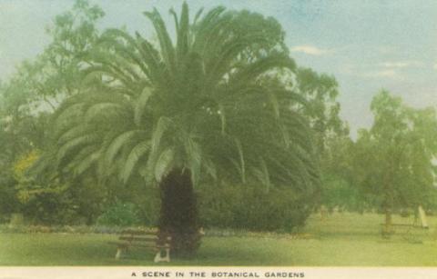 A scene in the Botanical Gardens, Horsham, 1951