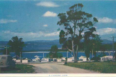 A camping view, Mallacoota