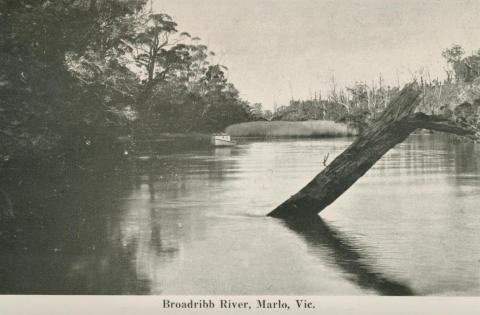 Broadribb River, Marlo, 1963