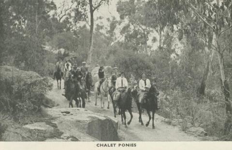 Chalet Ponies, Mount Buffalo, 1953