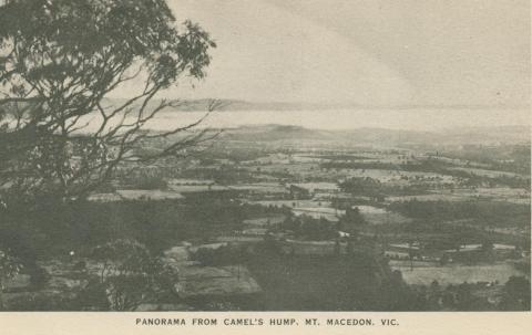 Panorama from Camel's Hump, Mount Macedon, 1949