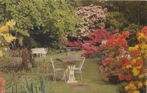 Coonara Springs Licensed Restaurant, Coonara Road, Olinda