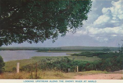 Looking Upstream along the Snowy River at Marlo