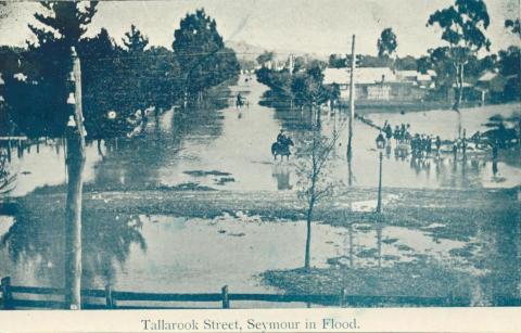 Tallarook Street, Seymour in Flood, 1908