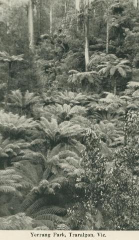 Yerrang Park, Traralgon