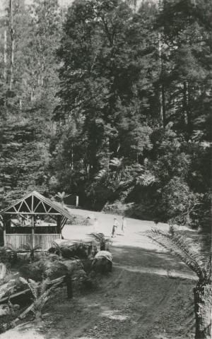 Cement Creek