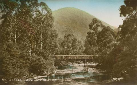 Mt Little Joe, Warburton