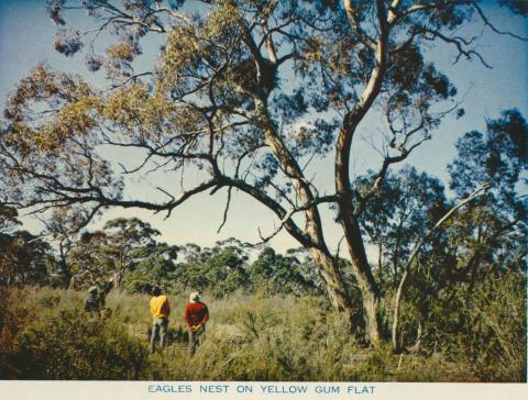 Eagles Nest on Yellow Gum Flat, Wimmera
