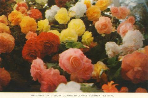 Begonia Festival, Ballarat, 1958