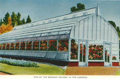 Begonia Houses, Ballarat, 1958